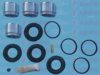 AUTOFREN SEINSA D42085C Repair Kit, brake caliper
